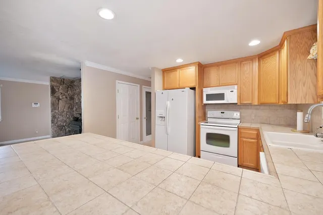 a view of a tree in the middle of a yard