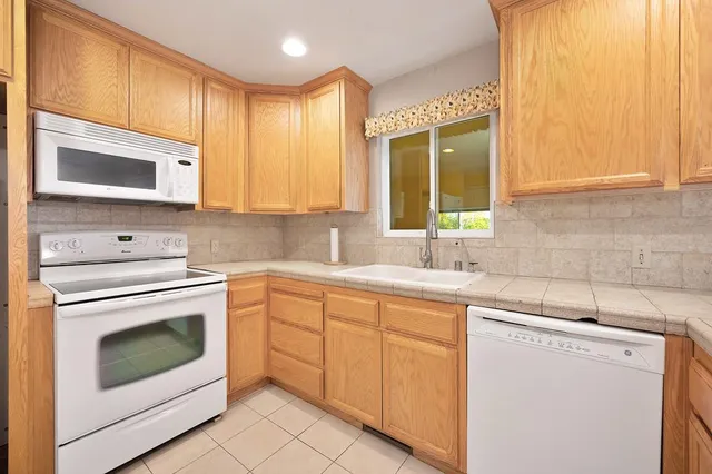 a view of a garden with plants