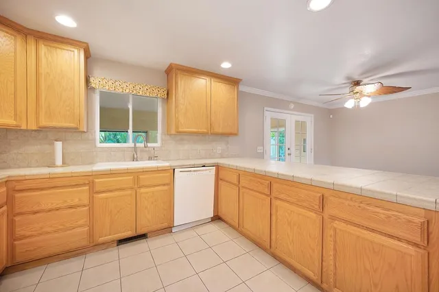 a view of a yard with plants and large trees