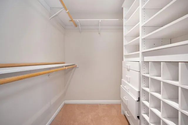 a view of a rural road with plants and trees