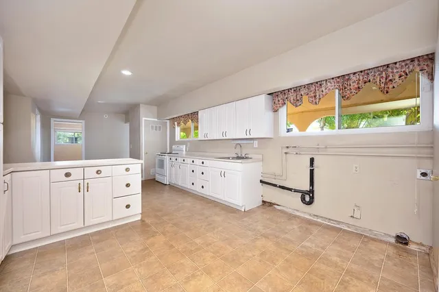 a picture of flowers