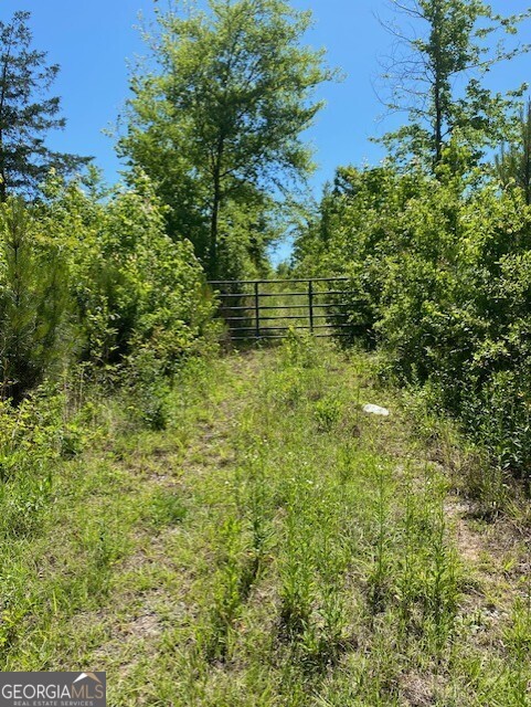1730 North Walker's Mill Road Griffin, GA 30223 - Photo 2 of 6