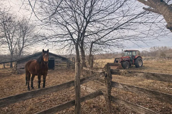 $465,000 | 0 County Road 800, Flat Rock, AL 35966