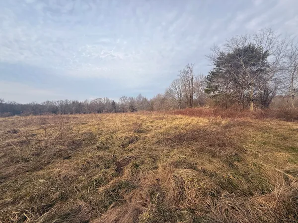 $465,000 | 0 County Road 800, Flat Rock, AL 35966