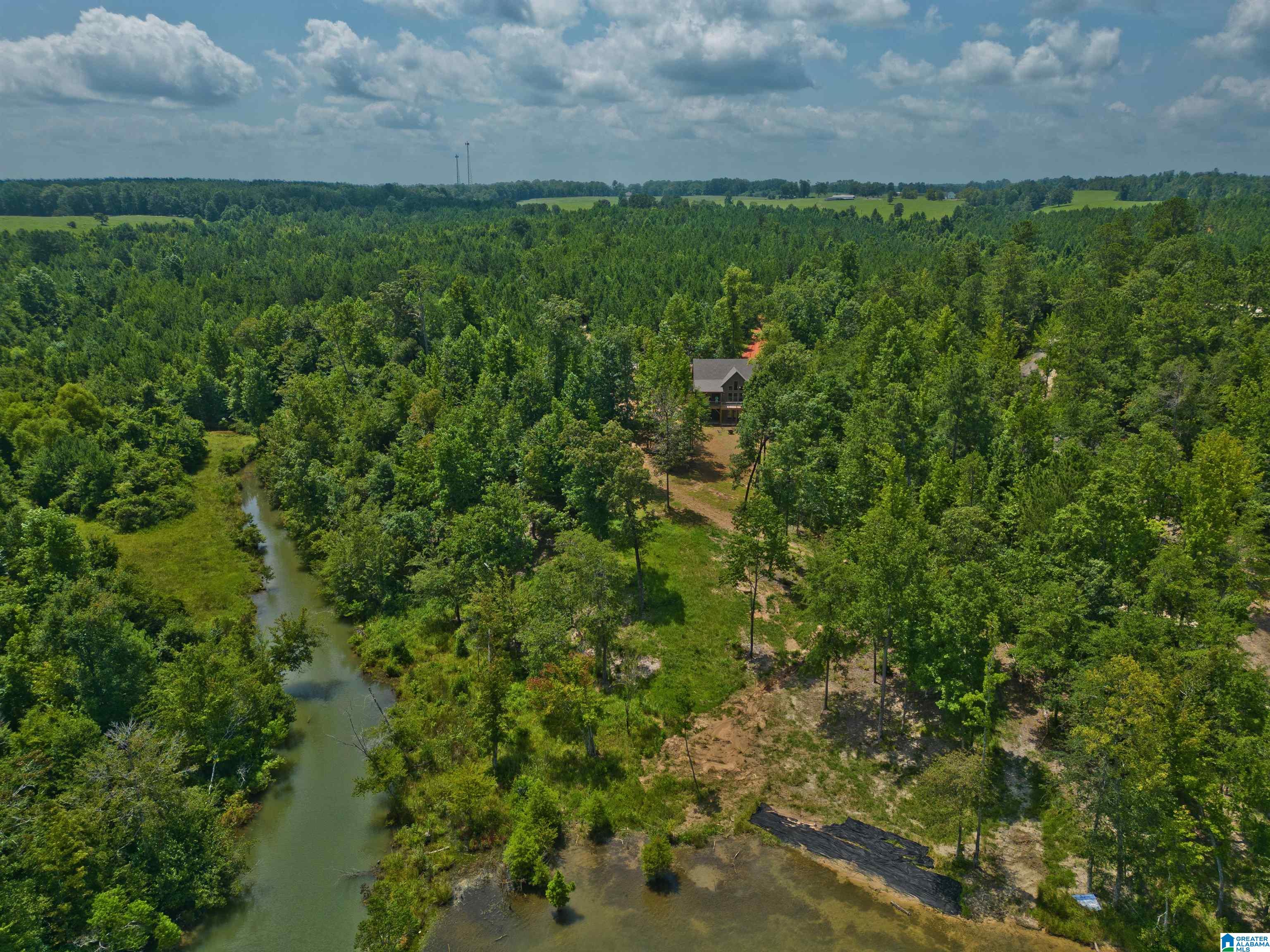 126 Wilson Cross Road Eclectic, AL 36024 - Photo 58 of 64