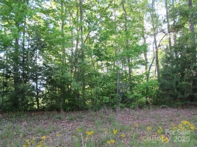 $34,900 | 0 South Cross Creek Trail Mill Spring, Unit 12, Mill Spring, NC 28756