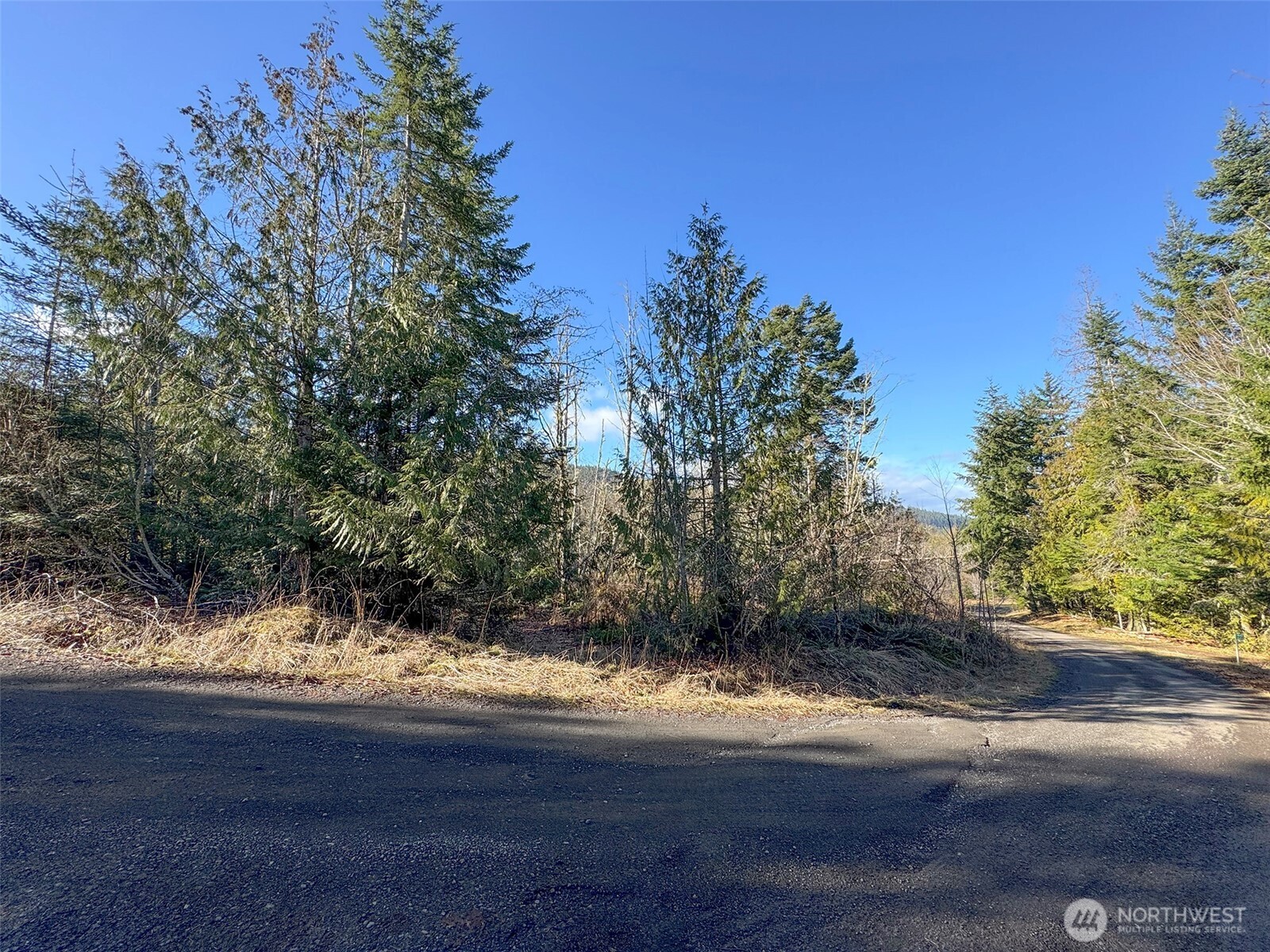 0 East Angeles Ridge Road Port Angeles, WA 98362 - Photo 24 of 29 a view of a yard