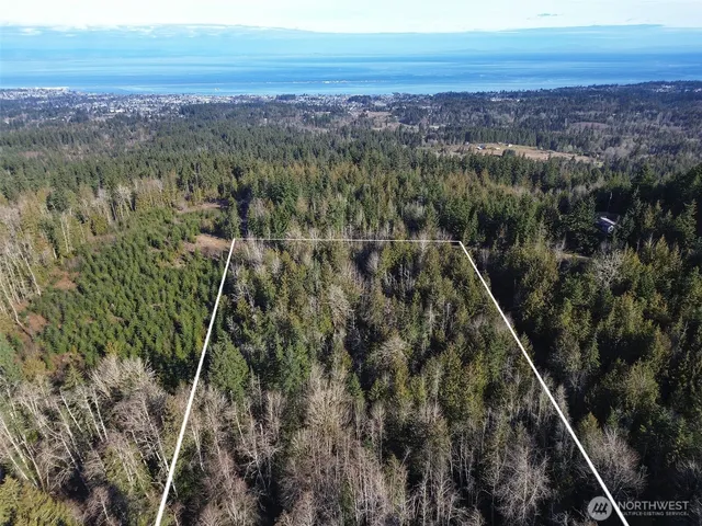 a view of a city with lush green forest