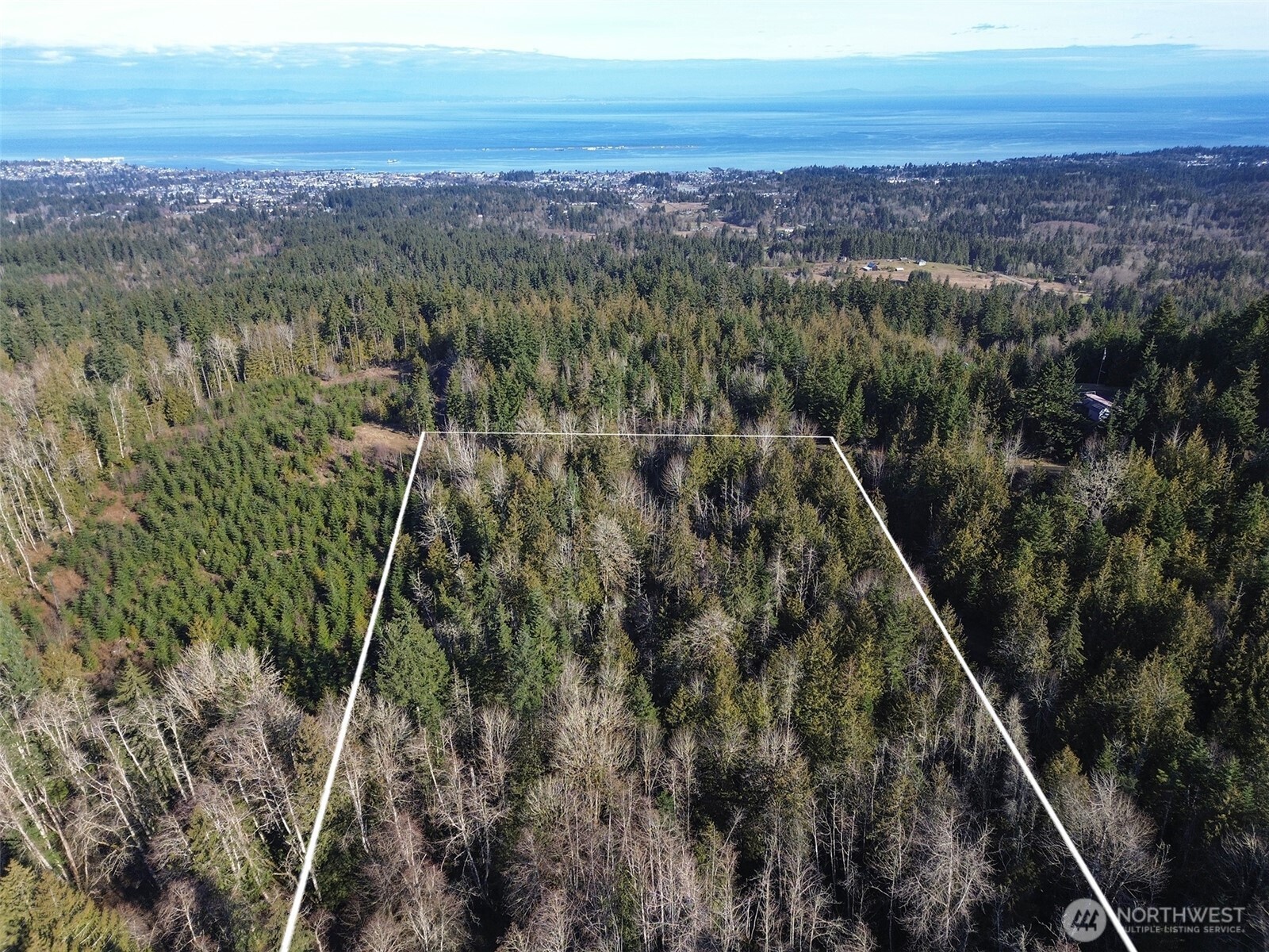0 East Angeles Ridge Road Port Angeles, WA 98362 - Photo 5 of 29 a view of a city with lush green forest