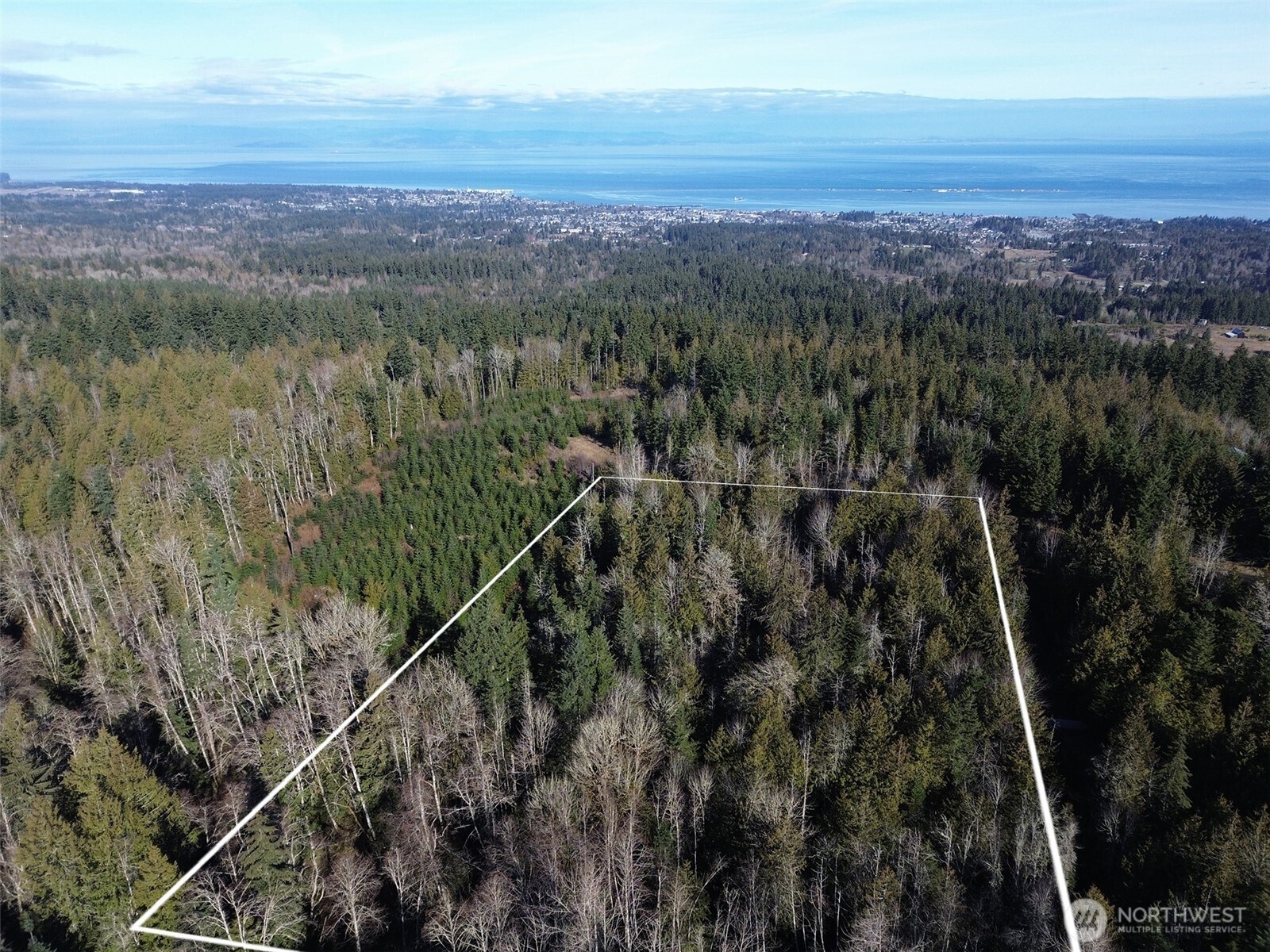 0 East Angeles Ridge Road Port Angeles, WA 98362 - Photo 6 of 29 a view of a city with an ocean