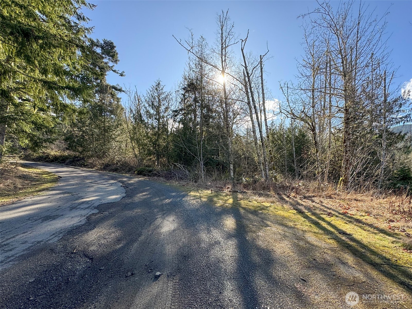 0 East Angeles Ridge Road Port Angeles, WA 98362 - Photo 8 of 29 a view of a yard with plants and trees
