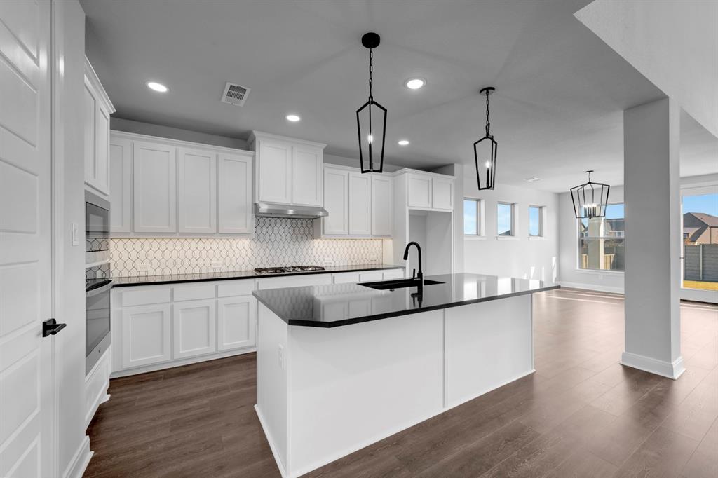 9004 Chestnut Lane Justin, TX 76247 - Photo 15 of 40 a kitchen with stainless steel appliances granite countertop a sink a stove and a wooden floors