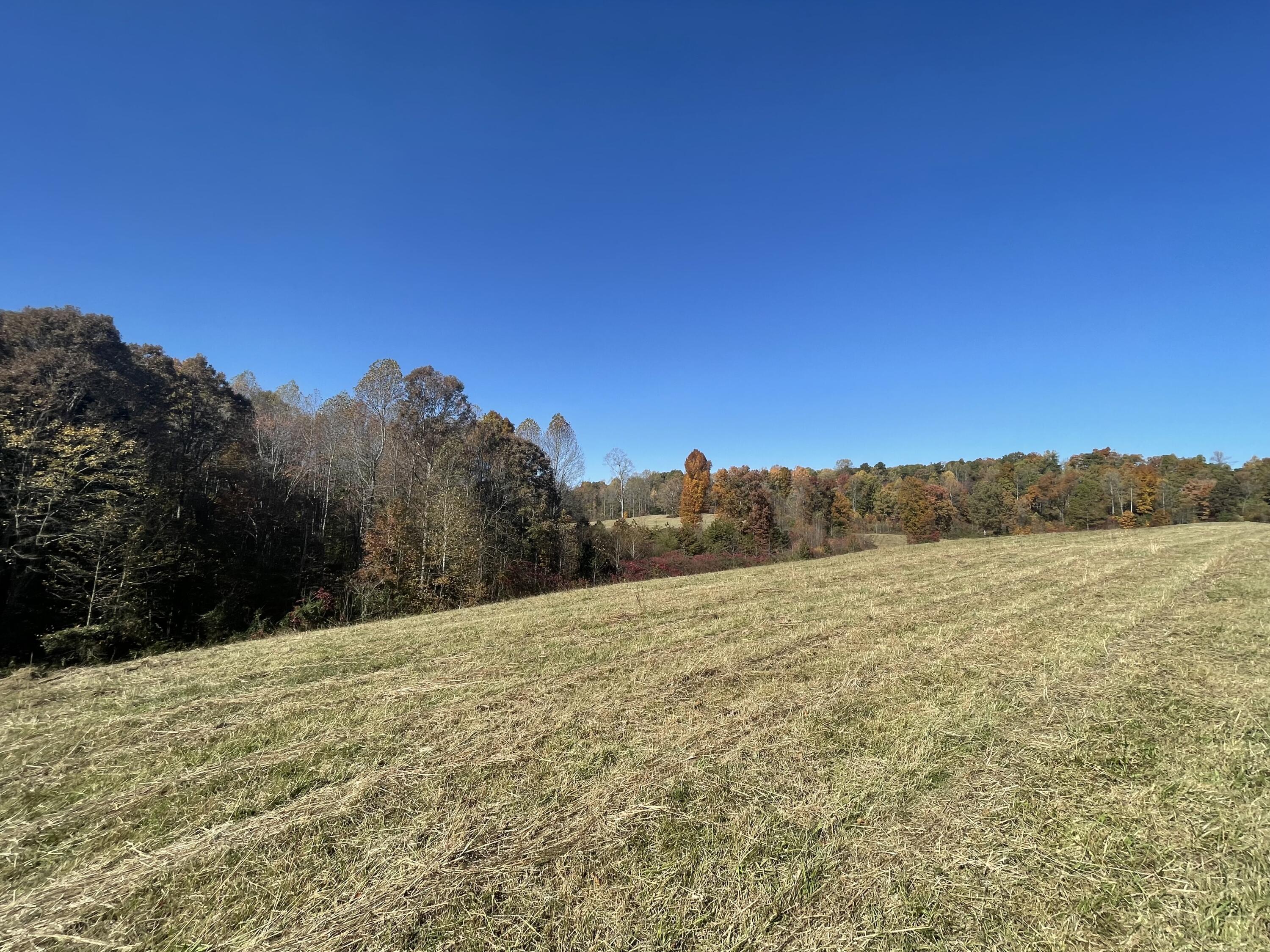 9999 Burnett Road London, KY 40744 - Photo 3 of 44 IMG_4196