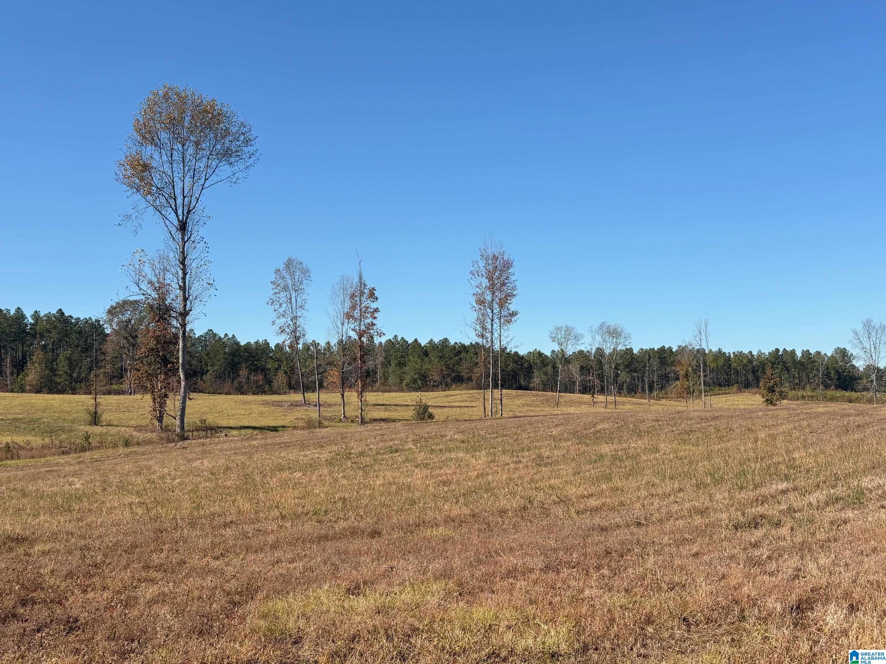 3679 Chelsea Road, Unit 2 Columbiana, AL 35051 - Photo 1 of 13