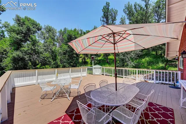 a view of a yard with plants and large trees