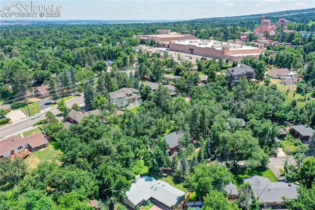 a view of a lush green field with lots of bushes