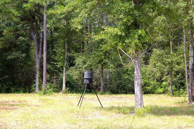 20-ac Christian Life Road DeFuniak Springs, FL 32433 - Photo 12 of 23 a view of a backyard of the house