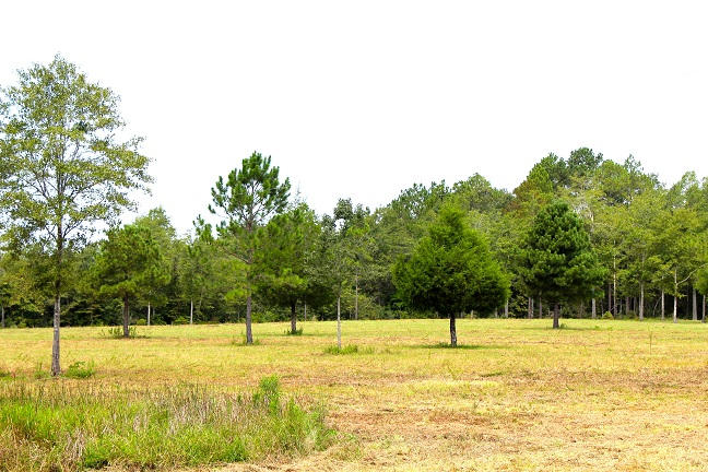 20-ac Christian Life Road DeFuniak Springs, FL 32433 - Photo 4 of 23 a view of a swimming pool with an outdoor space and seating area