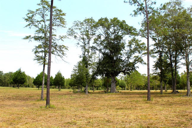 20-ac Christian Life Road DeFuniak Springs, FL 32433 - Photo 5 of 23 a swimming pool with trees in the background