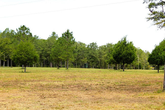 20-ac Christian Life Road DeFuniak Springs, FL 32433 - Photo 6 of 23 a view of a swimming pool and a yard