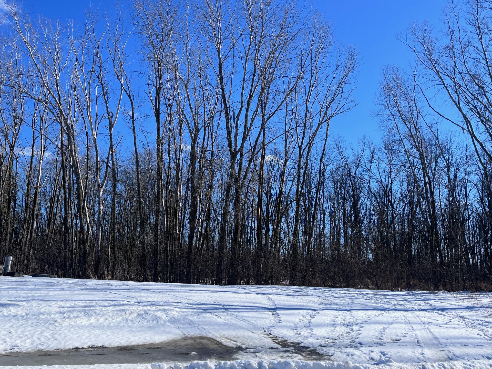 Lt1 Virginia Drive Manitowoc, WI 54220 - Photo 2 of 2 Virginia Lot