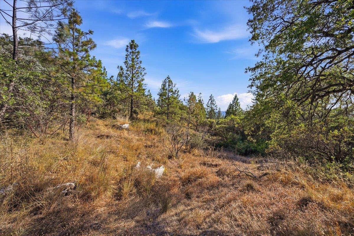 17436 Black Forest Road Penn Valley, CA 95946 - Photo 29 of 36