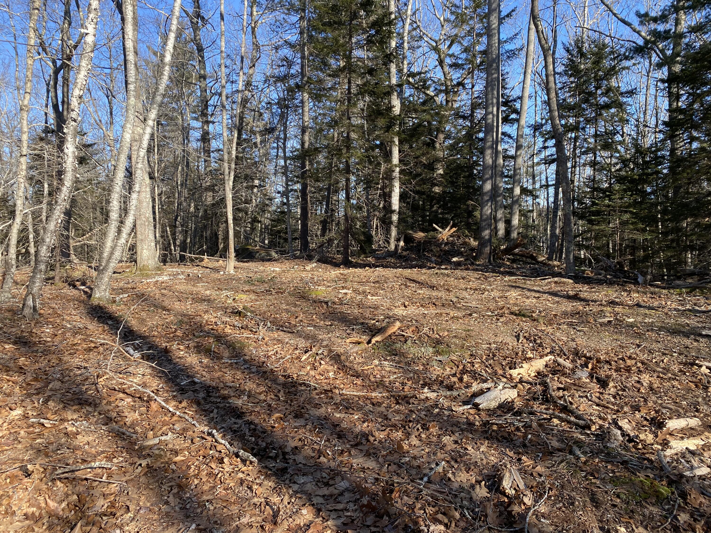 0 West Bay Road Islesboro, ME 04848 - Photo 56 of 60 Building site