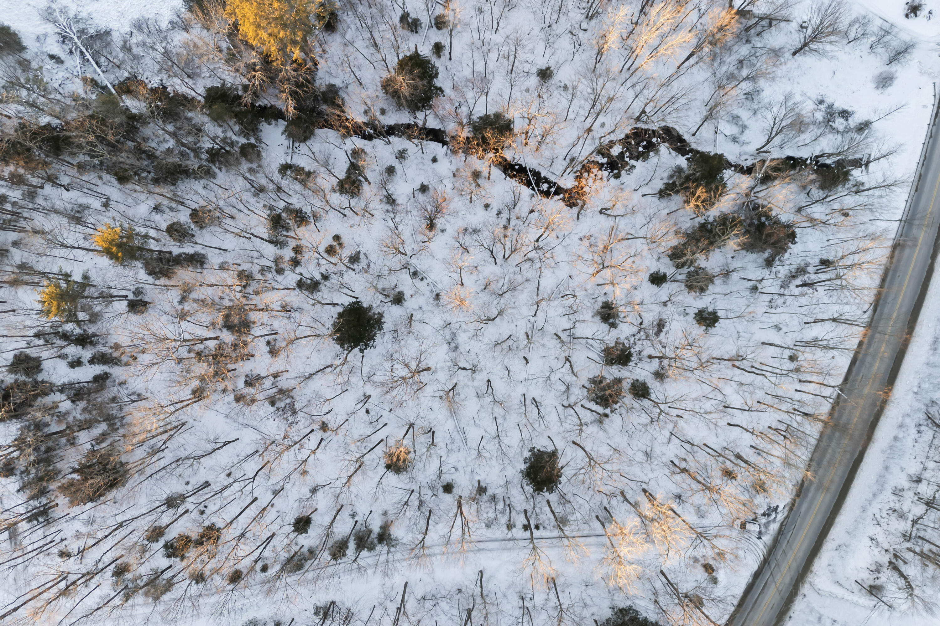 Lot 3-a1 Lot 3-a1 Prescott Road Manchester, ME 04351 - Photo 17 of 31 Lot 3A1 Prescott Rd_117