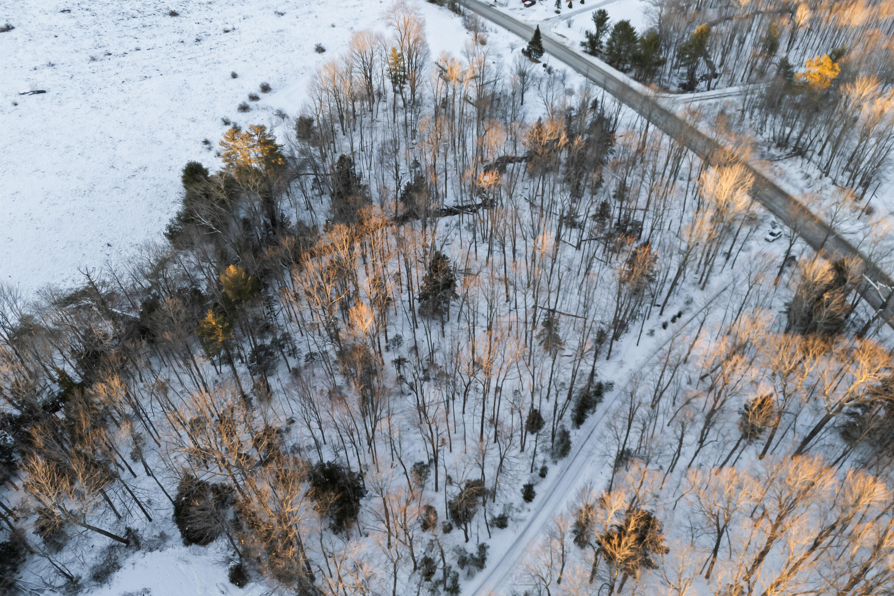 Lot 3-a1 Lot 3-a1 Prescott Road Manchester, ME 04351 - Photo 22 of 31 Lot 3A1 Prescott Rd_122