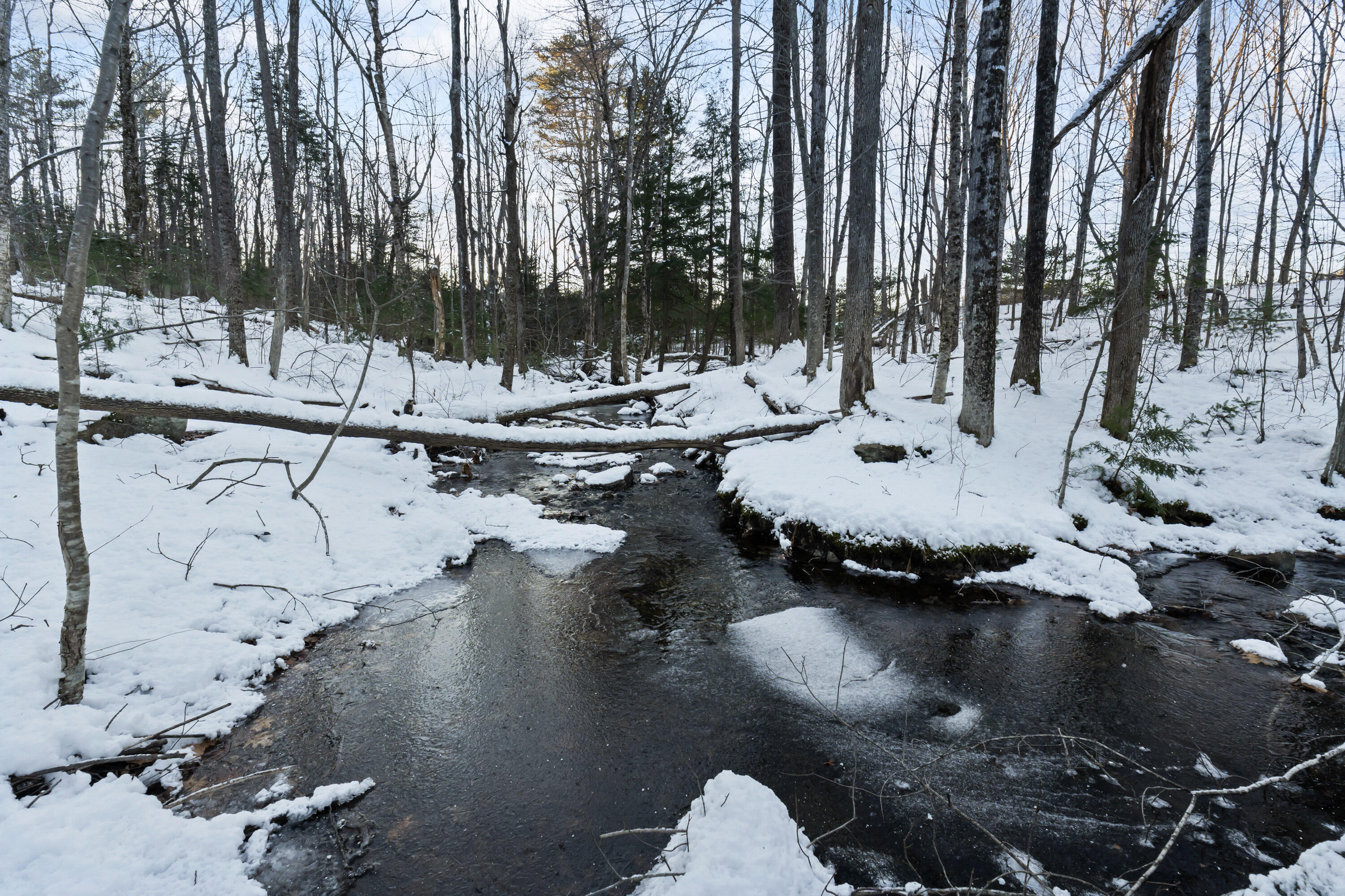Lot 3-a1 Lot 3-a1 Prescott Road Manchester, ME 04351 - Photo 6 of 31 Lot 3A1 Prescott Rd_106