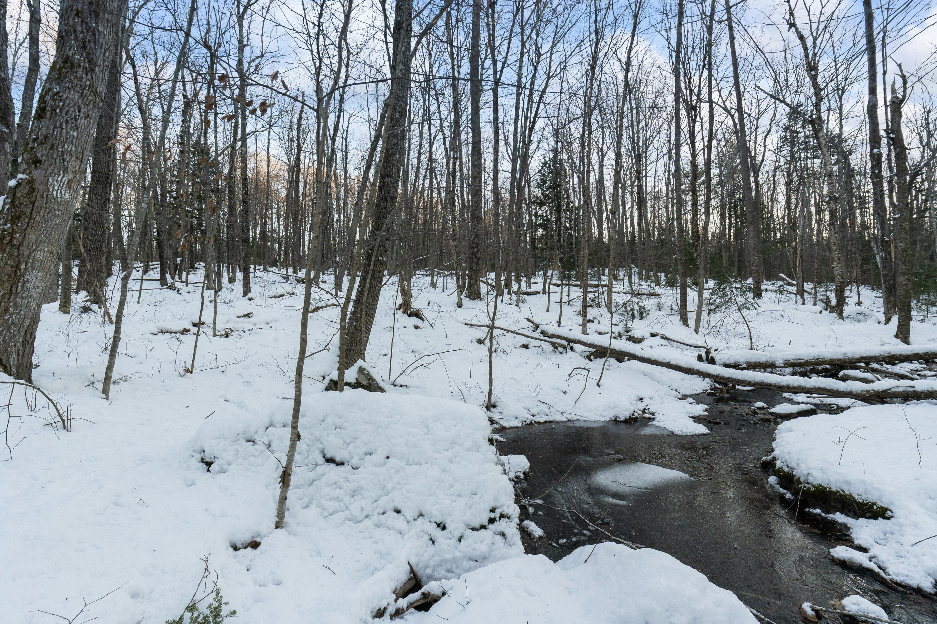 Lot 3-a1 Lot 3-a1 Prescott Road Manchester, ME 04351 - Photo 8 of 31 Lot 3A1 Prescott Rd_108