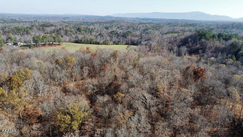 41 Athens Road Delano, TN 37325 - Photo 14 of 34