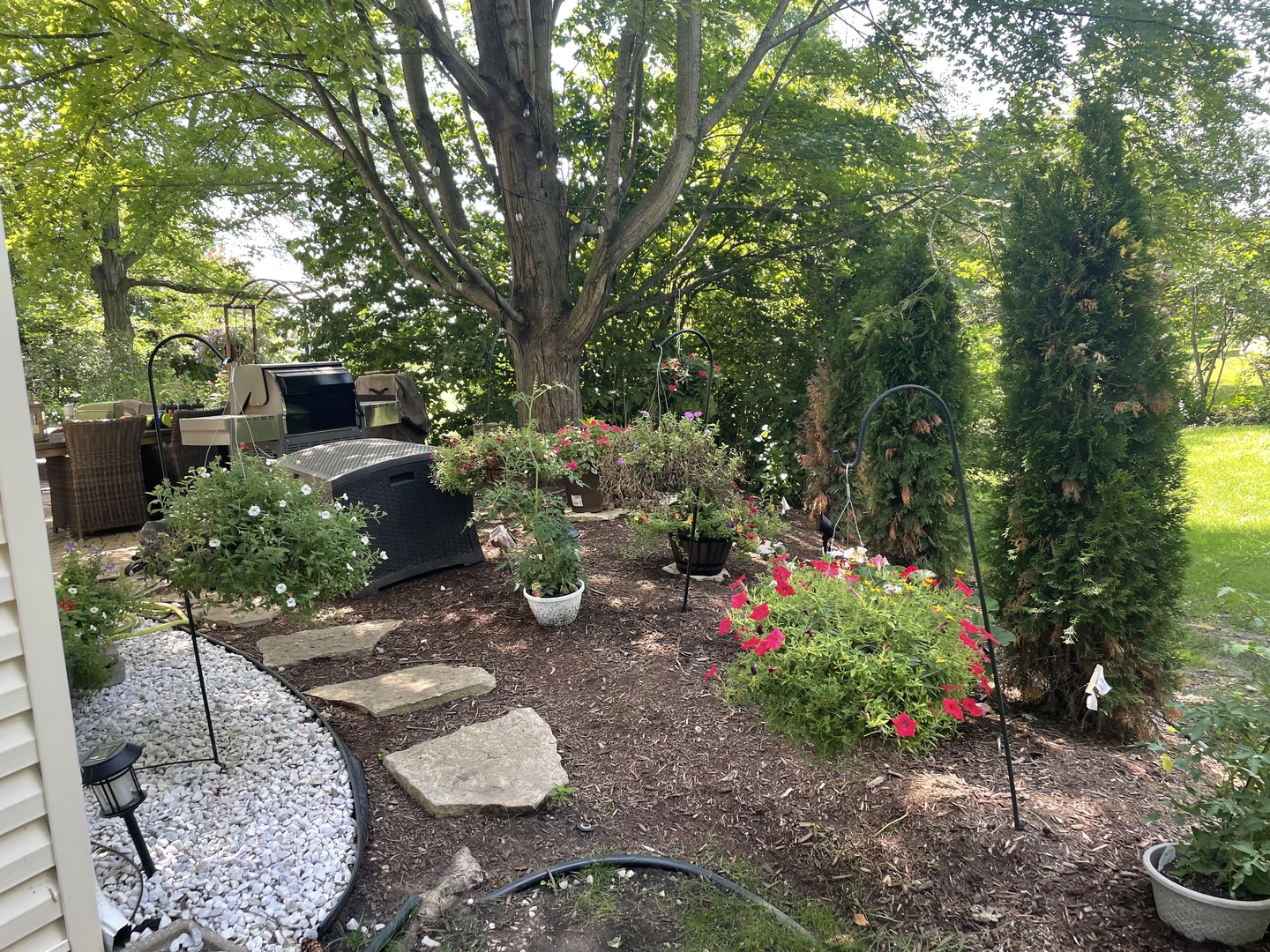 2219 Barrett Drive Algonquin, IL 60102 - Photo 46 of 55 a garden with flowers and a lots of plants