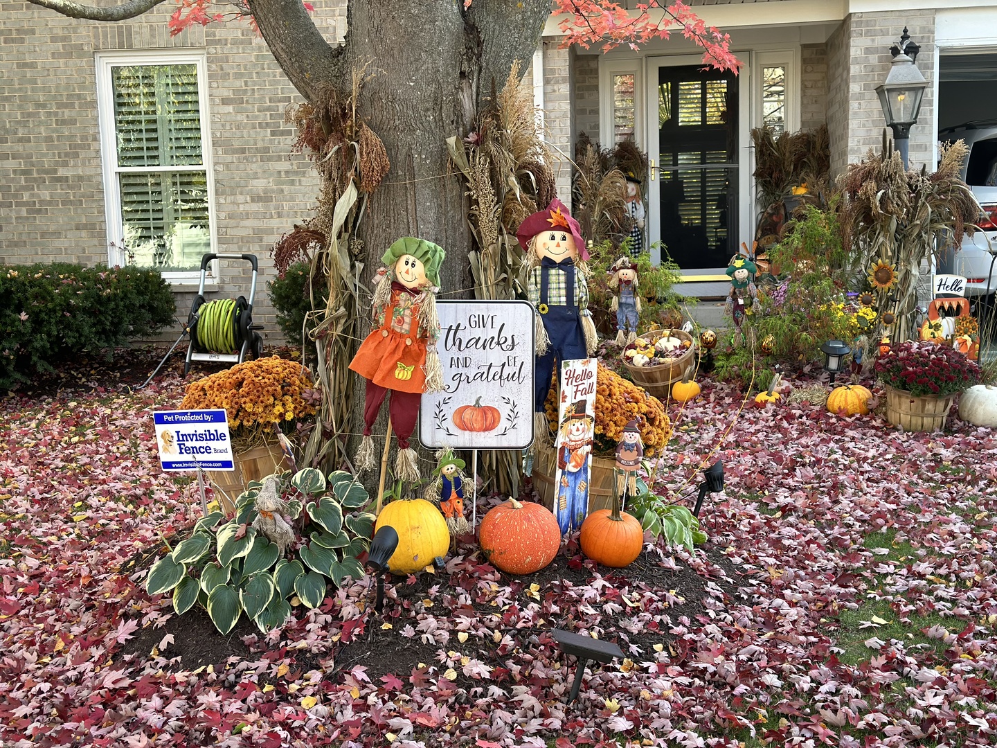 2219 Barrett Drive Algonquin, IL 60102 - Photo 49 of 55 an outdoor space with lots of fruit and vegetables