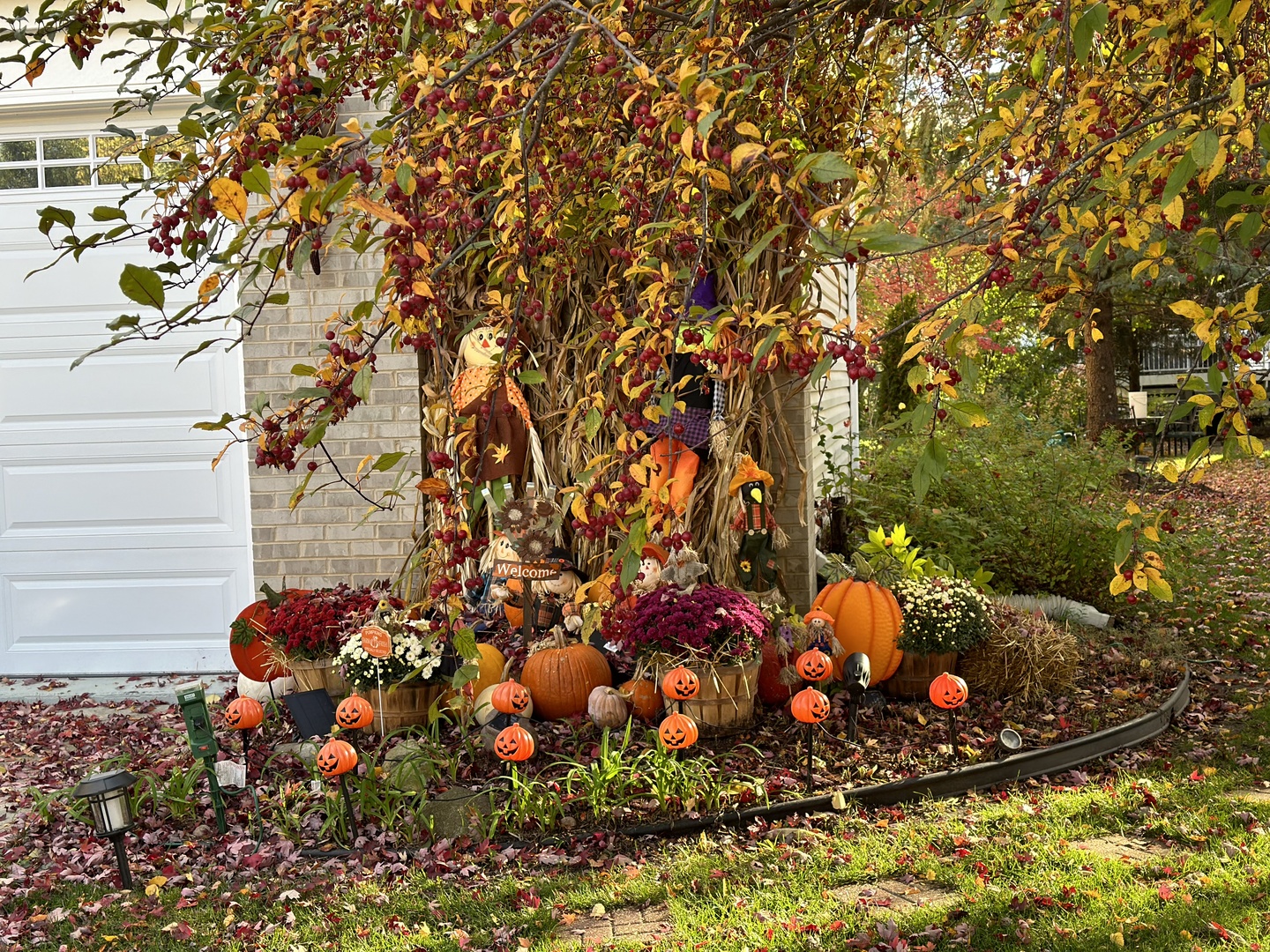 2219 Barrett Drive Algonquin, IL 60102 - Photo 50 of 55 a view of a wooden bench