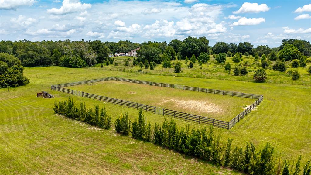 21341 Horse Ranch Road Mount Dora, FL 32757 - Photo 14 of 17