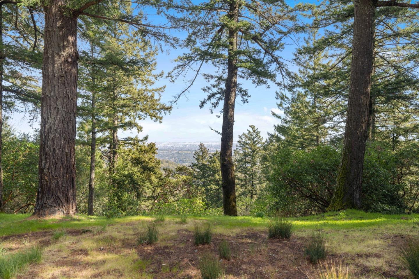 1090 Bear Gulch Road Woodside, CA 94062 - Photo 3 of 46