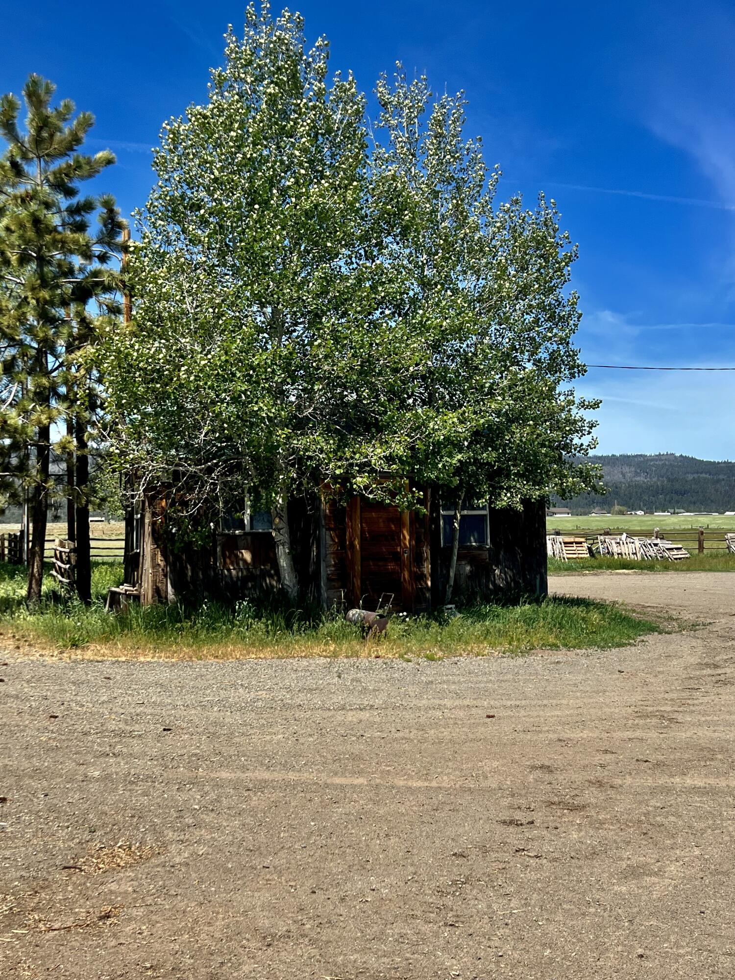 12525 West Side Road Lakeview, OR 97630 - Photo 11 of 40 IMG-8849