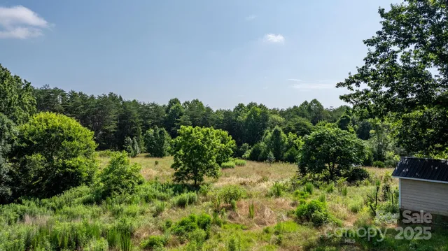 a view of a yard with plants and a bench
