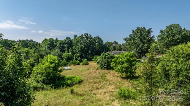 a view of a garden with plants