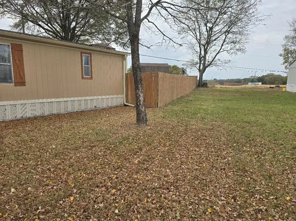 a view of a backyard with a large tree