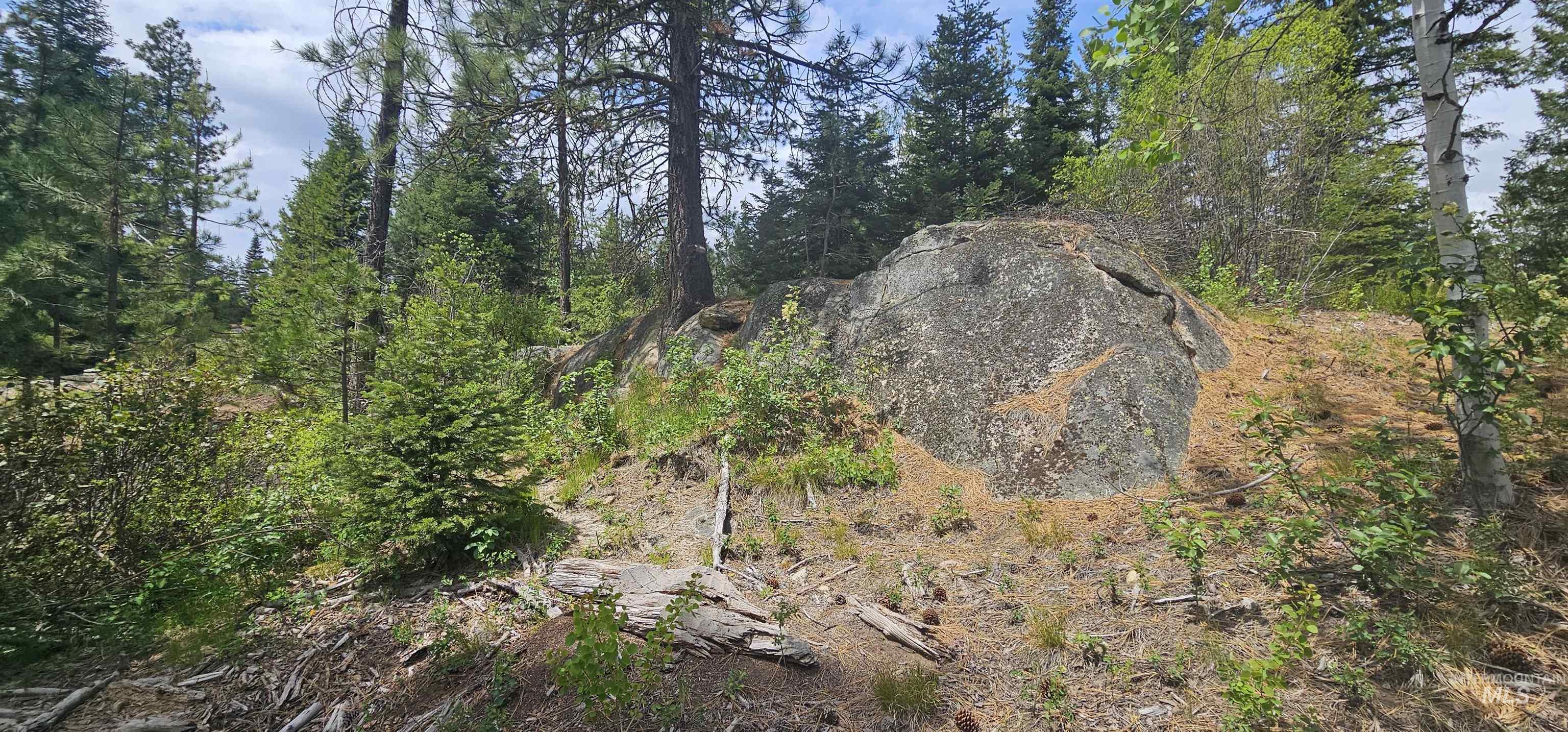 23 Sawtooth Loop Cascade, ID 83611 - Photo 15 of 45