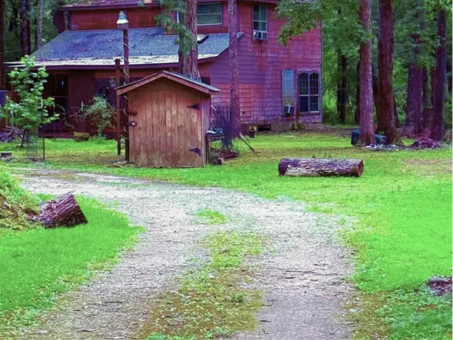 a view of a wooden house with a yard and plants