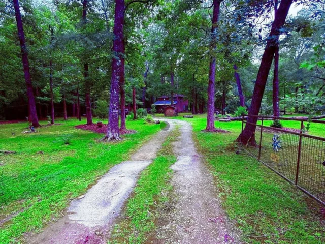 a view of park with entertaining space and large trees