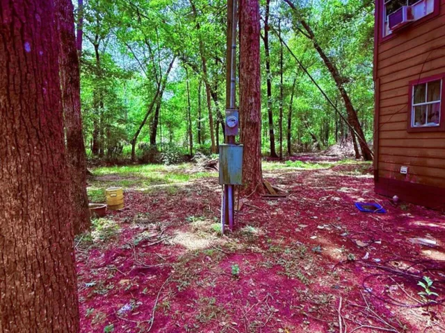 a view of a backyard