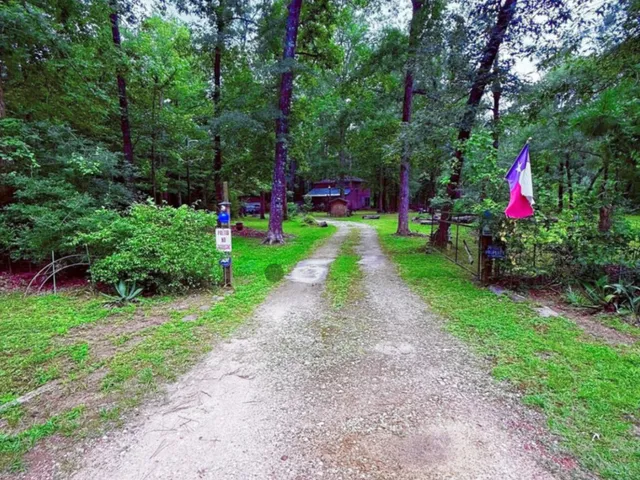 a view of a park with plants and a tree