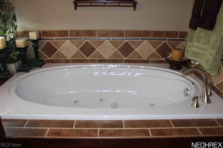 3311 Azalea Ridge Drive Perry, OH 44081 - Photo 17 of 23 Master Tub