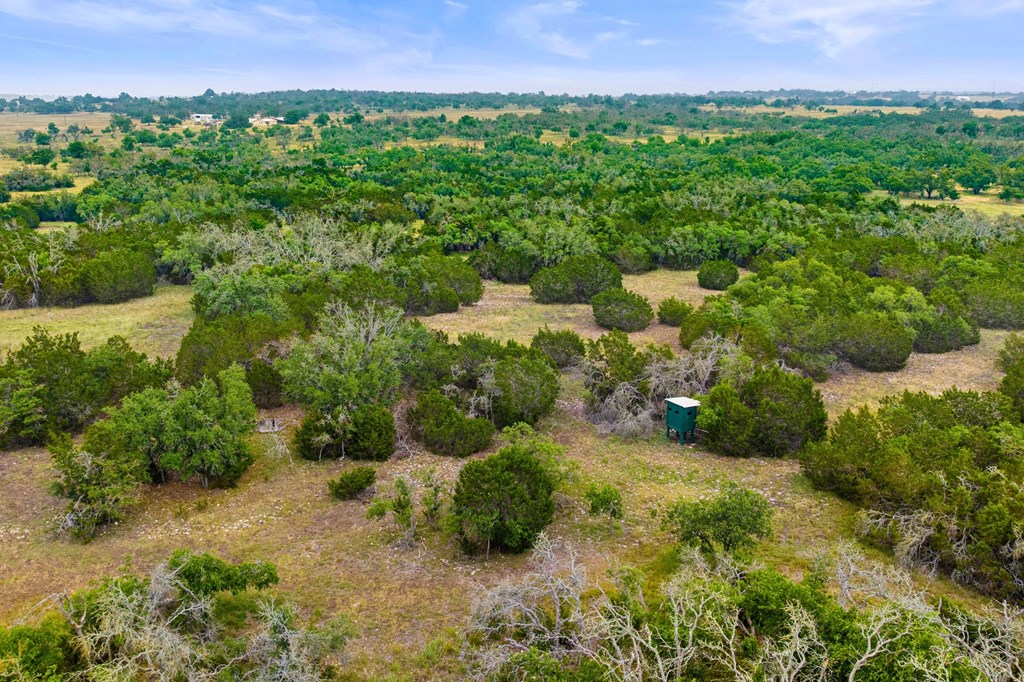 5 Mary Lane, Unit 5 Harper, TX 78631 - Photo 12 of 30 a view of a green field with lots of bushes