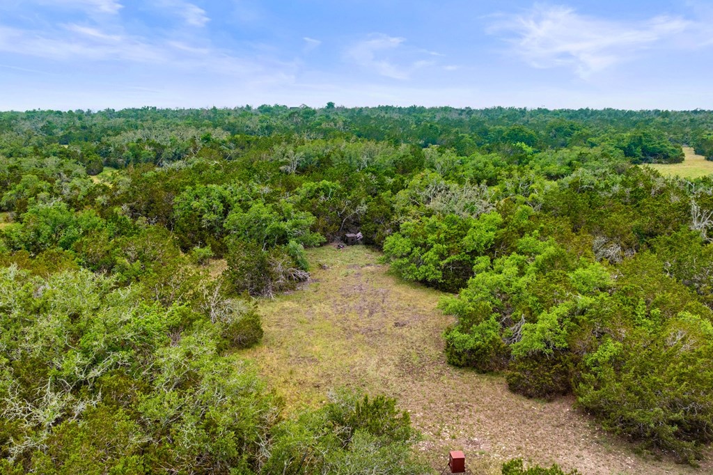 5 Mary Lane, Unit 5 Harper, TX 78631 - Photo 13 of 30 a view of a yard with plants and a bench