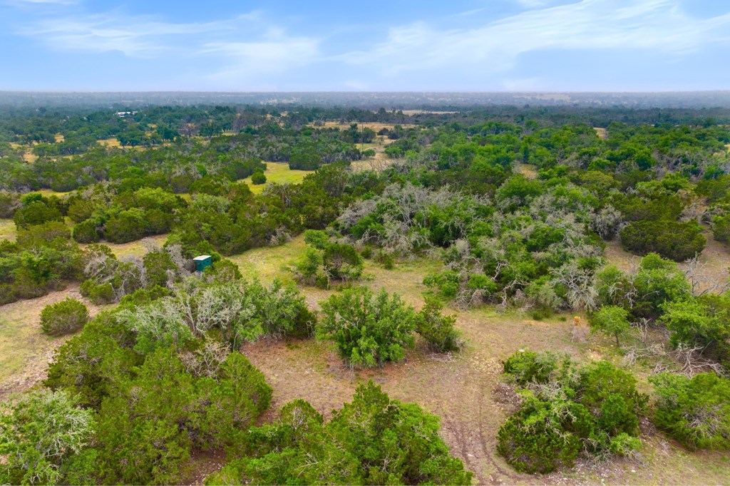 5 Mary Lane, Unit 5 Harper, TX 78631 - Photo 14 of 30 a view of a garden with a building in front of it